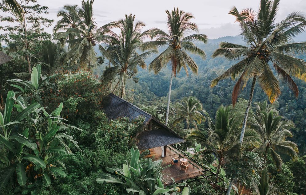 Cendyn 996 x 635 (1).jpg